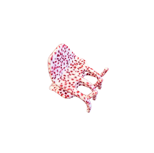 Divya Claw Clip in Rhubarb Custard