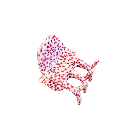 Divya Claw Clip in Rhubarb Custard