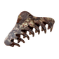 Georgia Claw Clip in Toasted