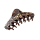 Georgia Claw Clip in Toasted