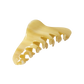 Georgia in Shortbread Honey