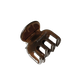 Sam in Dark Roast